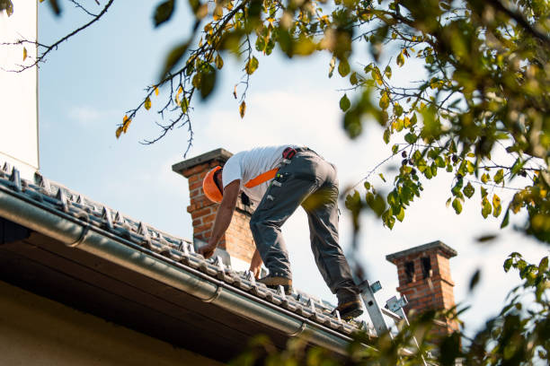 Best Roof Maintenance Services  in Paddock Lake, WI