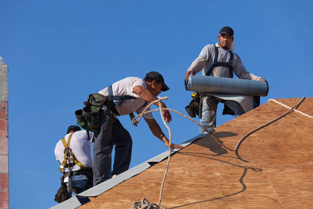 Best Roof Repair Services  in Paddock Lake, WI